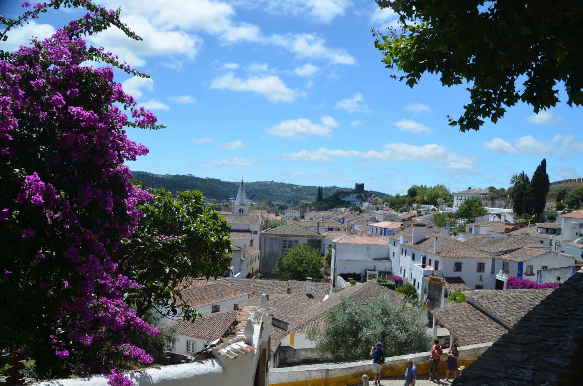 Cazenn Salir Do Porto - Holiday House Salir de Porto エクステリア 写真